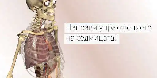 Play Smart Classroom AR