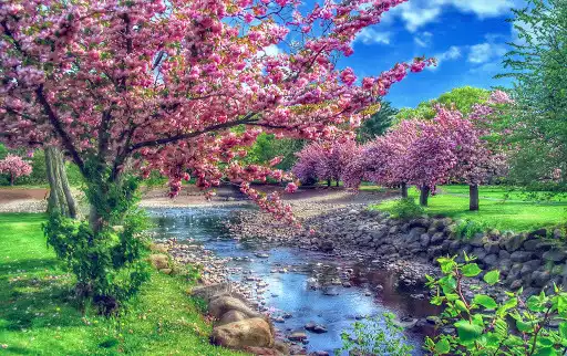 Play Smart HDR Play Smart HDR