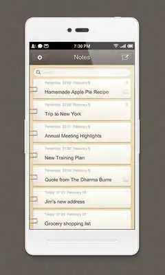 Play Smartisan Notes