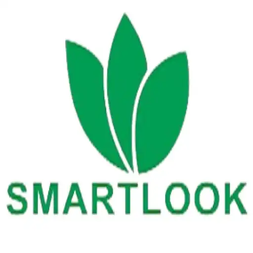 Play Smartlook APK