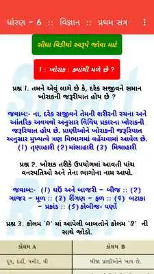 Play Smart solutions