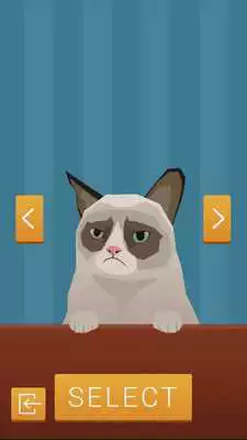 Play Smarty Doge