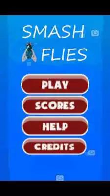 Play Smash flies