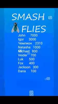 Play Smash flies