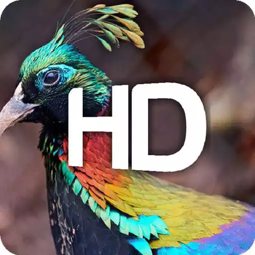 Free play online Smash- HD Wallpapers  (4K) APK