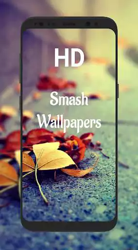 Play Smash- HD Wallpapers  (4K)