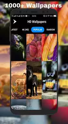 Play Smash- HD Wallpapers  (4K)