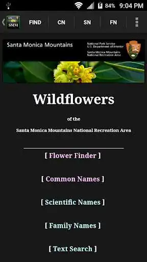 Play SMM WildFlowers  and enjoy SMM WildFlowers with UptoPlay