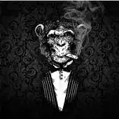 Free play online Smoking Monkey 3D Parallax Wallpaper APK