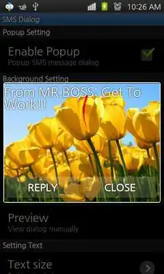 Play SMS Dialog Play SMS Dialog