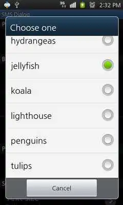 Play SMS Dialog Play SMS Dialog