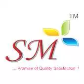 Free play online SM Silver APK