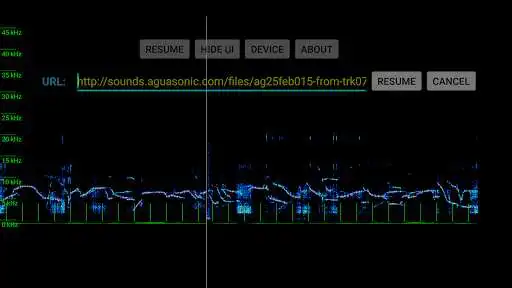 Play sm Spectrogram  and enjoy sm Spectrogram with UptoPlay
