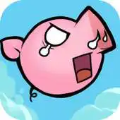 Free play online Smug Piggy APK