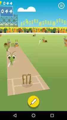 Play Snail Cricket