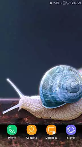 Play Snail wallpaper  and enjoy Snail wallpaper with UptoPlay