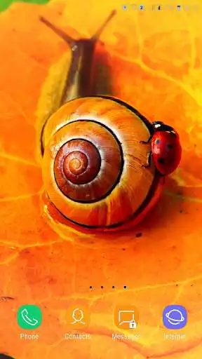 Play Snail wallpaper as an online game Snail wallpaper with UptoPlay