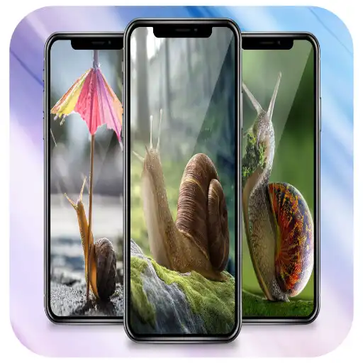 Play Snail Wallpapers APK Play Snail Wallpapers APK