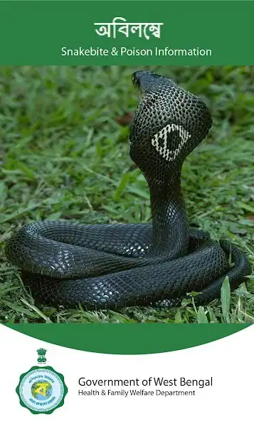 Play Snakebite and Poison Informati  and enjoy Snakebite and Poison Informati with UptoPlay