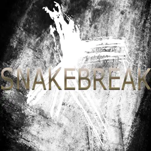 Play Snake Break APK