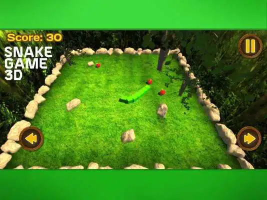 Play Snake Game 3D