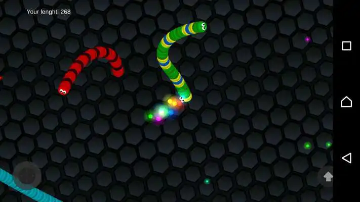 Play Snake Grow Free