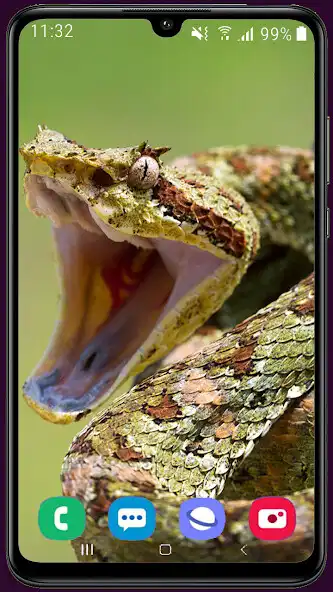Play Snake HD Wallpaper  and enjoy Snake HD Wallpaper with UptoPlay
