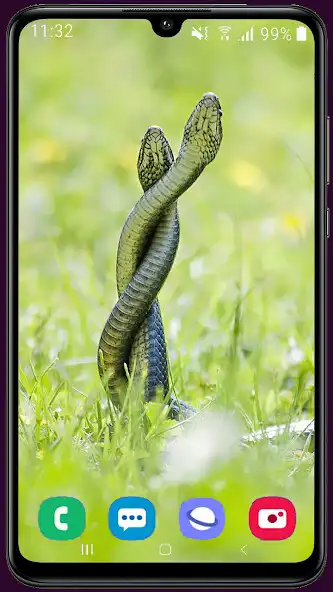 Play Snake HD Wallpaper as an online game Snake HD Wallpaper with UptoPlay