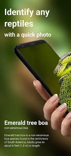 Play Snake Identifier: Reptiles ID  and enjoy Snake Identifier: Reptiles ID with UptoPlay