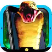 Free play online Snake in Phone APK Free play online Snake in Phone APK