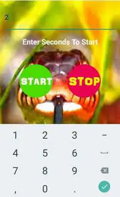 Play Snake in Phone
