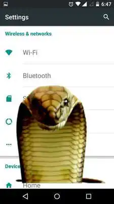 Play Snake in Phone