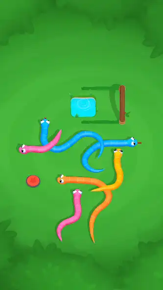 Play Snake Knot: Sort Puzzle Game  and enjoy Snake Knot: Sort Puzzle Game with UptoPlay