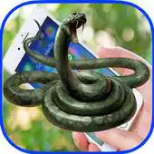 Free play online Snake On Screen - scare your friends APK Free play online Snake On Screen - scare your friends APK