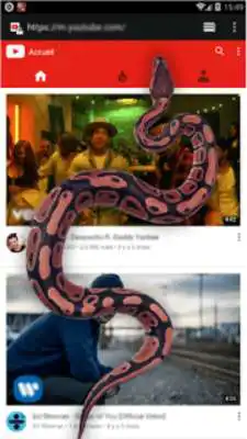 Play Snake On Screen