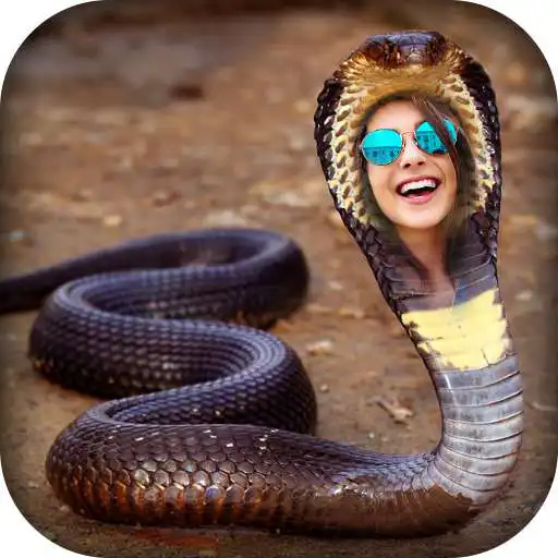 Play Snake Photo Frame APK Play Snake Photo Frame APK