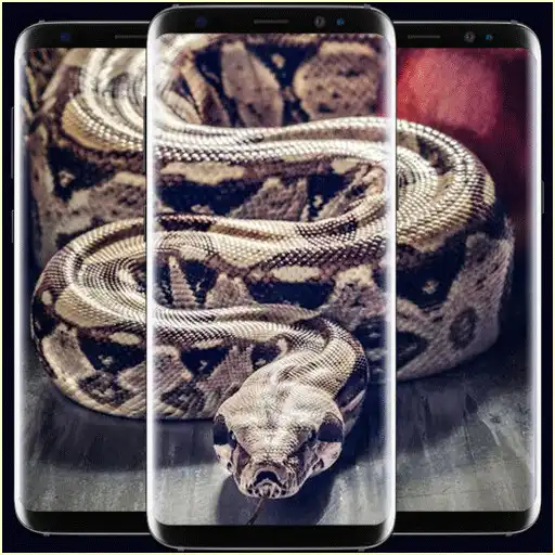 Play Snake Pythons Wallpaper APK Play Snake Pythons Wallpaper APK