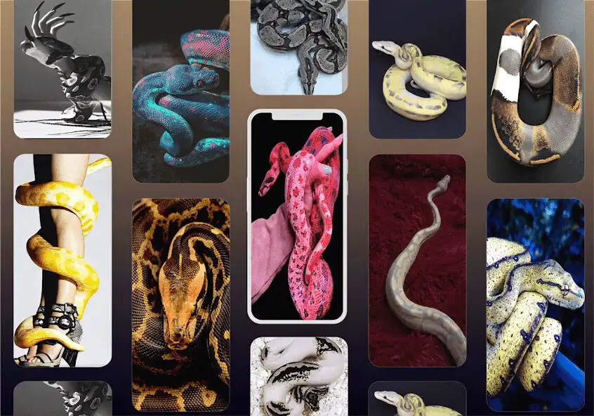 Play Snake Pythons Wallpaper  and enjoy Snake Pythons Wallpaper with UptoPlay