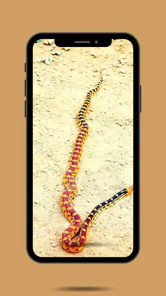 Play Snake Ringtone as an online game Snake Ringtone with UptoPlay