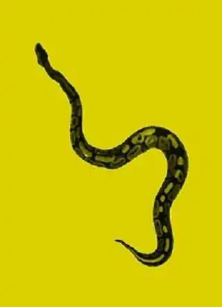 Play Snakes and Hawks  and enjoy Snakes and Hawks with UptoPlay