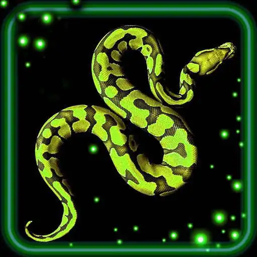 Play Snakes HD Live Wallpaper APK