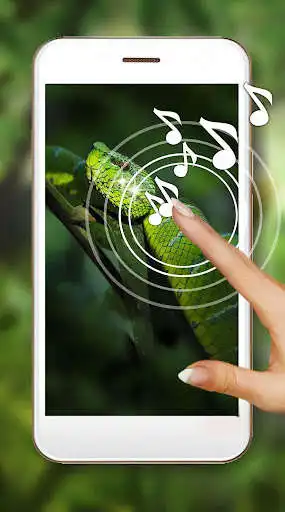 Play Snakes HD Live Wallpaper  and enjoy Snakes HD Live Wallpaper with UptoPlay