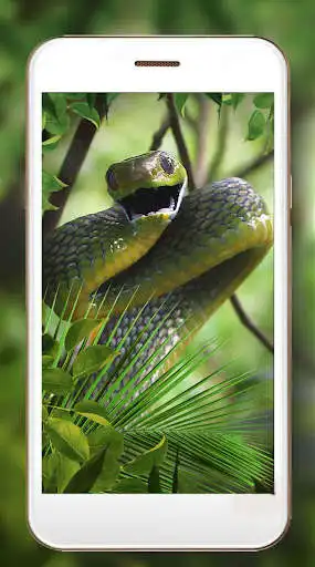 Play Snakes HD Live Wallpaper as an online game Snakes HD Live Wallpaper with UptoPlay