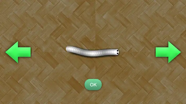 Play Snake Slide- Touch drag to move the snake head Play Snake Slide- Touch drag to move the snake head