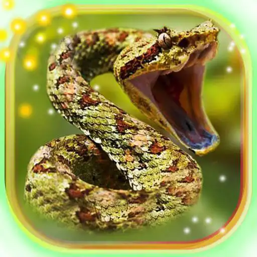 Play Snake Sounds APK Play Snake Sounds APK