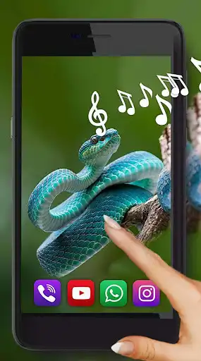 Play Snake Sounds  and enjoy Snake Sounds with UptoPlay
