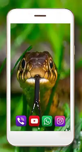 Play Snake Sounds as an online game Snake Sounds with UptoPlay