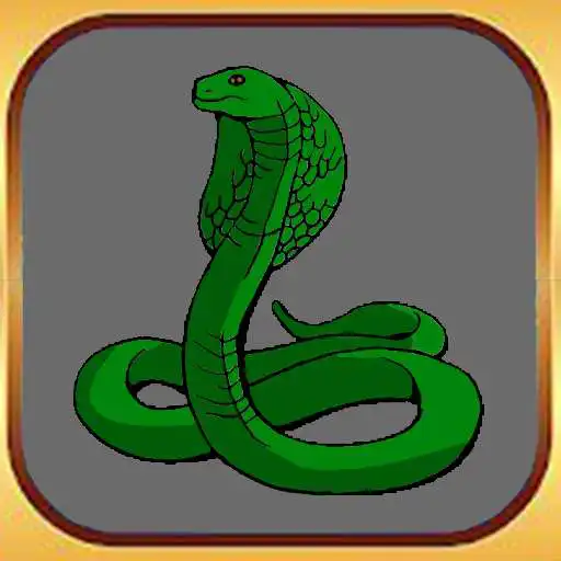 Play Snakes VS Snacks APK Play Snakes VS Snacks APK