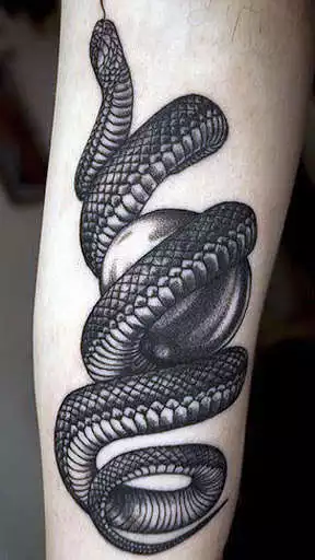 Play APK Snake Tattoo Designs  and enjoy Snake Tattoo Designs with UptoPlay com.Tankerman.SnakeTattooDesigns