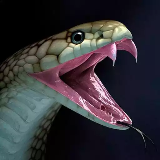 Free play online Snake Wallpapers APK Free play online Snake Wallpapers APK